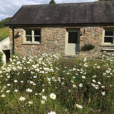 Danygraig Cottage Καρμάρθεν Εξωτερικό φωτογραφία