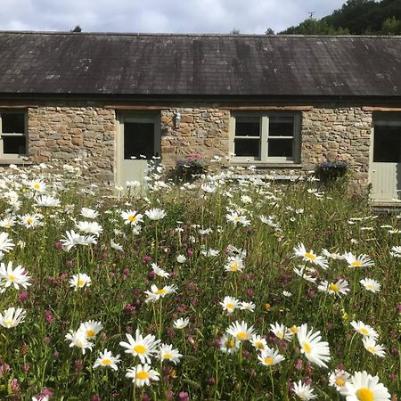 Danygraig Cottage Καρμάρθεν Εξωτερικό φωτογραφία