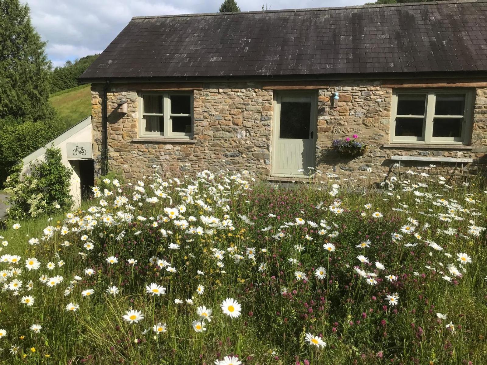 Danygraig Cottage Καρμάρθεν Εξωτερικό φωτογραφία