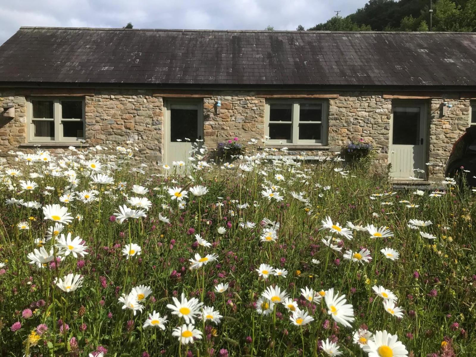 Danygraig Cottage Καρμάρθεν Εξωτερικό φωτογραφία